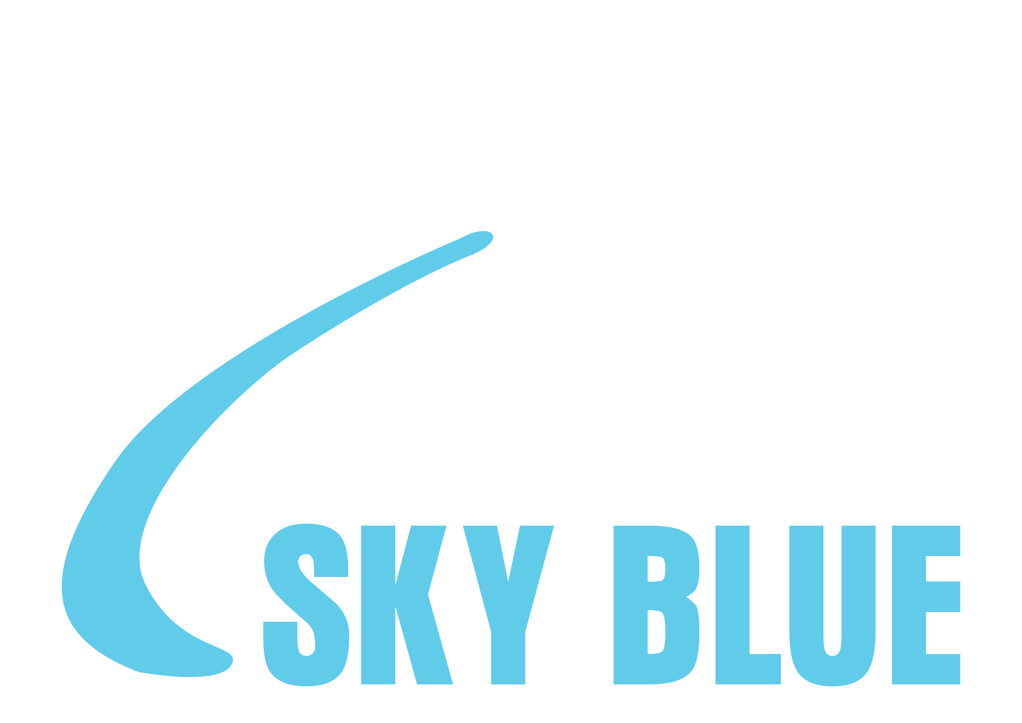 skybluecollege.com